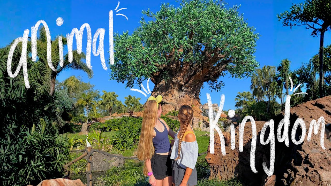 morning at ANIMAL KINGDOM! safari, everest, pandora, + | disney days