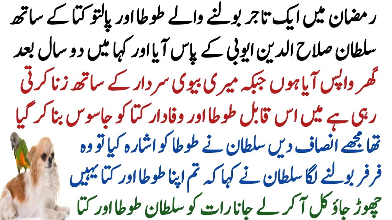A father caught his daughter with another man during the month of Ramadan | Sultan Salahuddin Ayyubi
