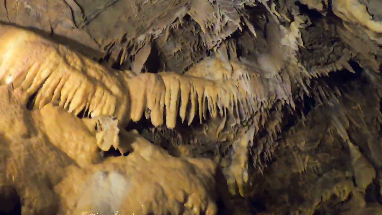 One of the largest limestone caves in the Tokai region, "Ryugashido" in Shizuoka　竜ヶ岩洞 @浜松　2021/04/10