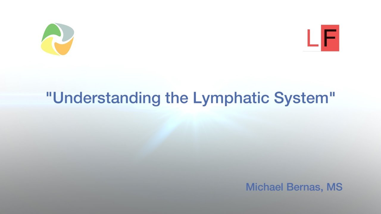 Understanding the Lymphatic System 1
