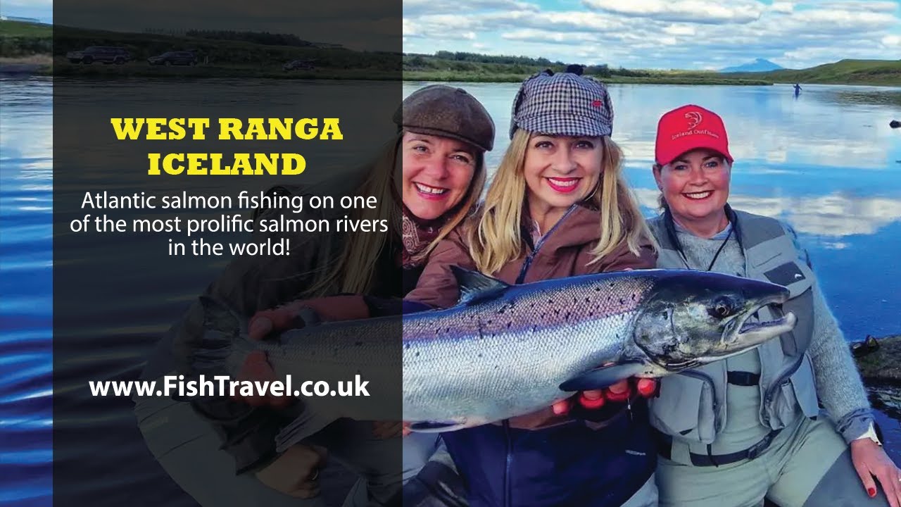WEST RANGA SALMON FISHING, ICELAND. ONE OF THE BEST RIVERS IN THE WORLD! LODGE & FISHING OVERVIEW.
