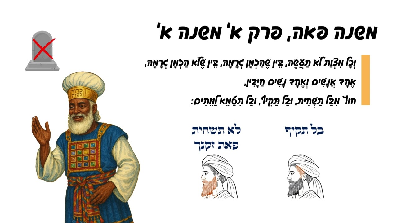 במעגלי המשנה תורה מצוות - משניות לבגרות תושב