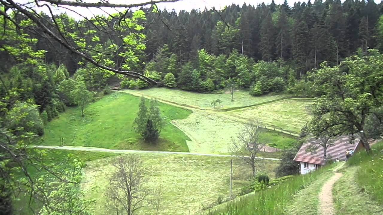 Wanderung Wiesensteig Bad Peterstal-Griesbach
