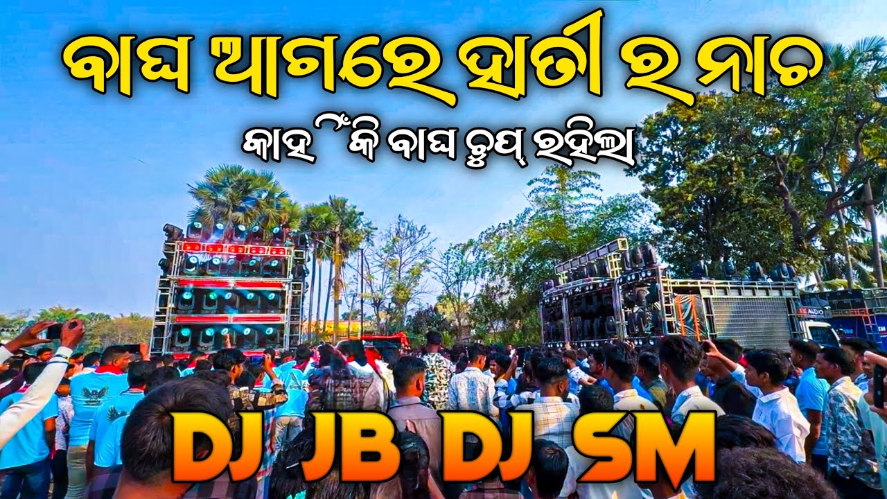 𝐃𝐣 𝐒𝐦 𝐕𝐬 𝐃𝐣 𝐉𝐛 || ବାଘ ଆଗରେ ହାତୀ ର ନାଚ କାହିଁକି ବାଘ ଚୁପ୍‌ ରହିଲା || 𝐌𝐎