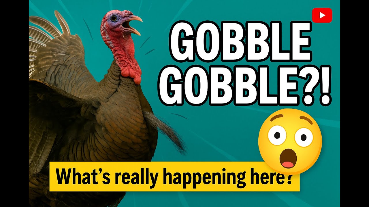 I Tried GobbleGobble and Here s What Happened