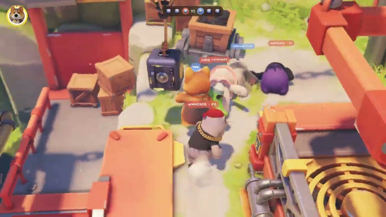 DavisX: Party Animals - Safely Afloat