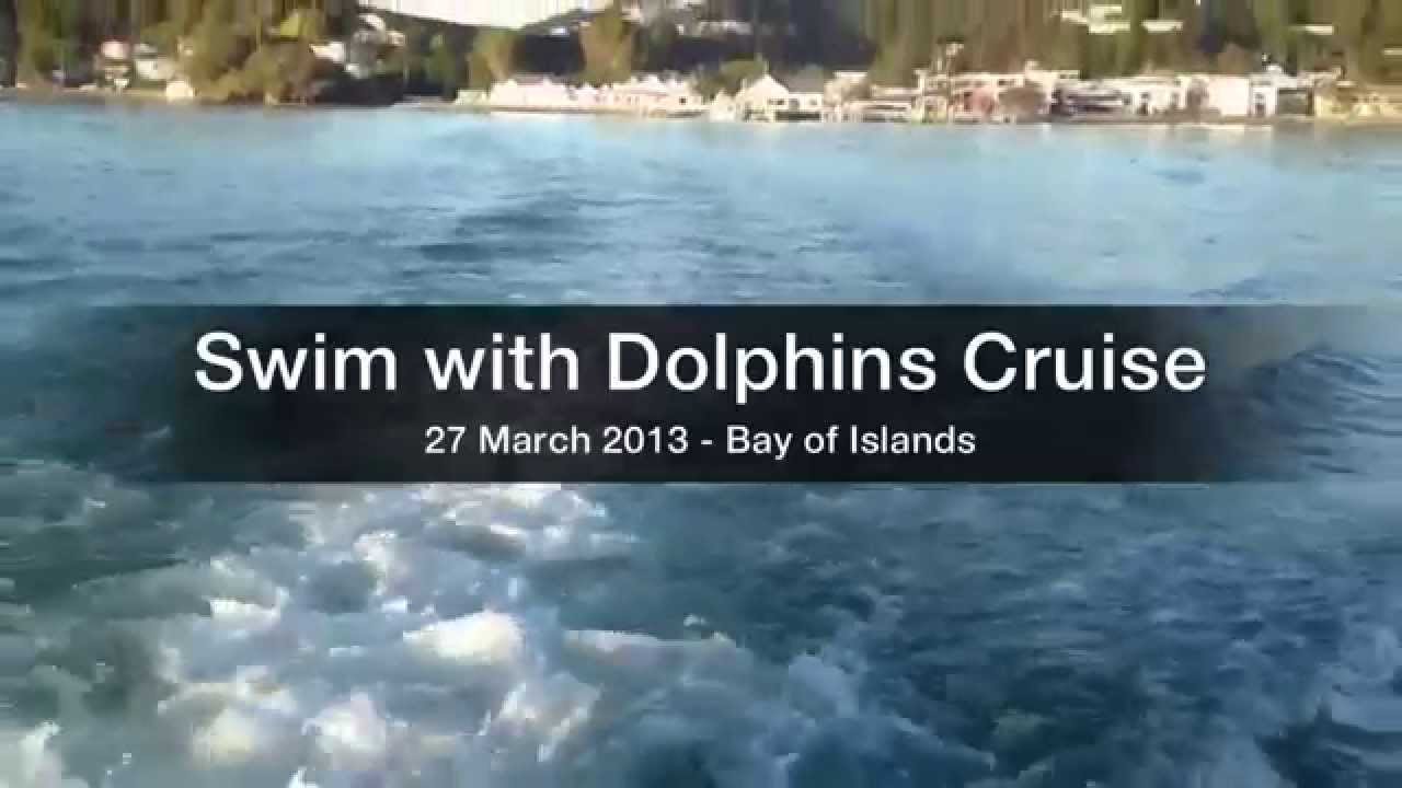 Swim with Dolphins - Bay of Islands - New Zealand