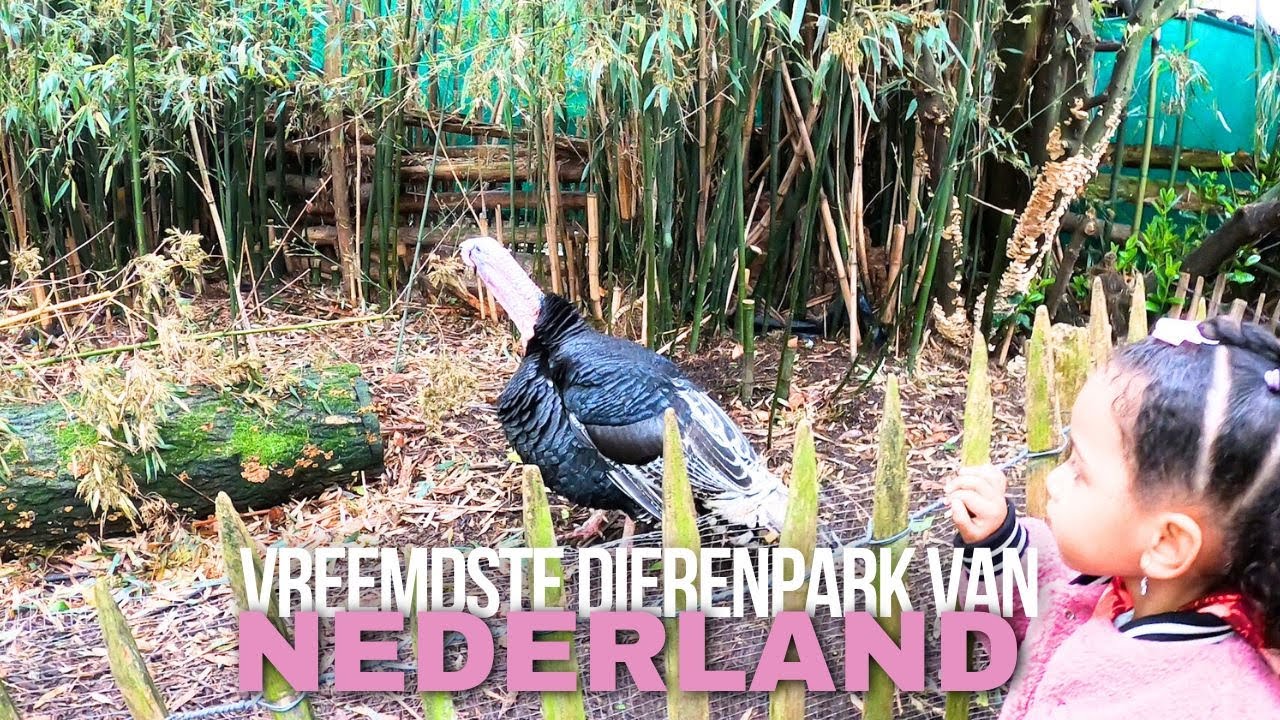 Vreemdste Dierenpark Van Nederland - Vlog 334