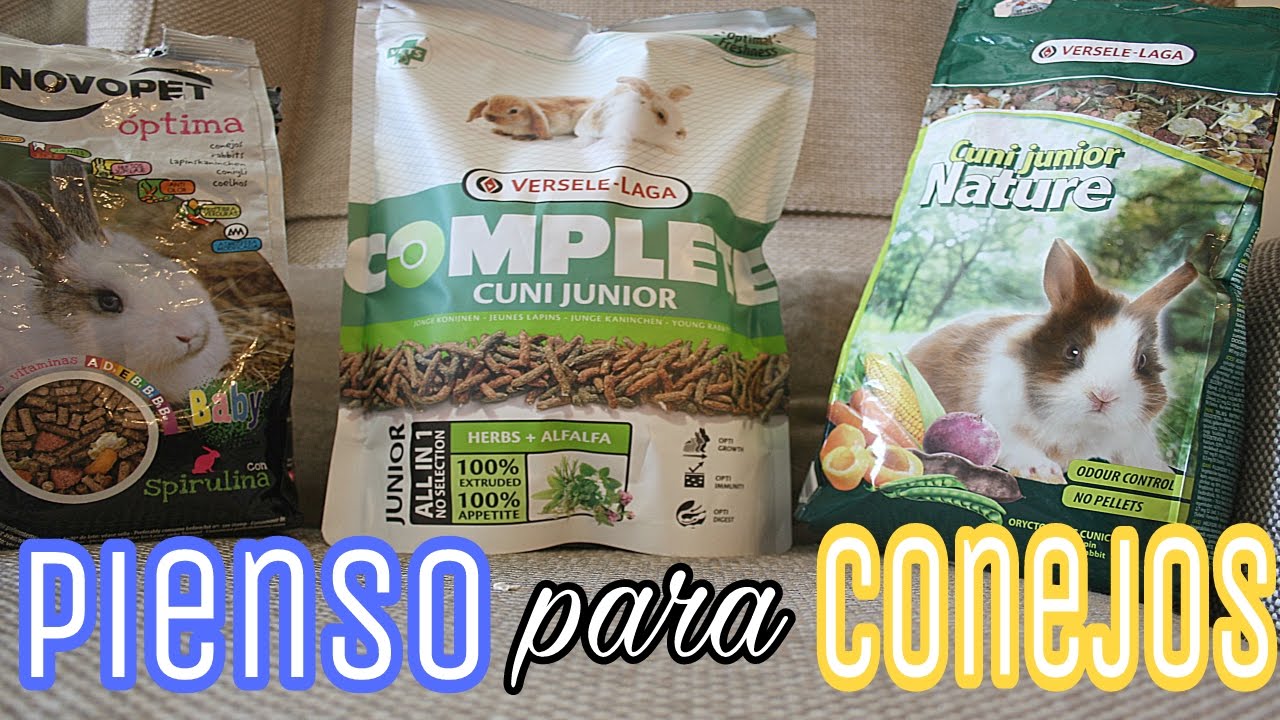 QUÉ DEBE TENER UN BUEN PIENSO para CONEJOS