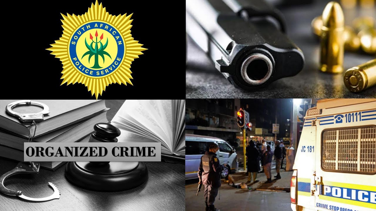 GUNS TO GANGS: HOW SAPS SERVICE PISTOLS END UP IN CRIMINAL'S HANDS | FRAUDULENT LICENSES