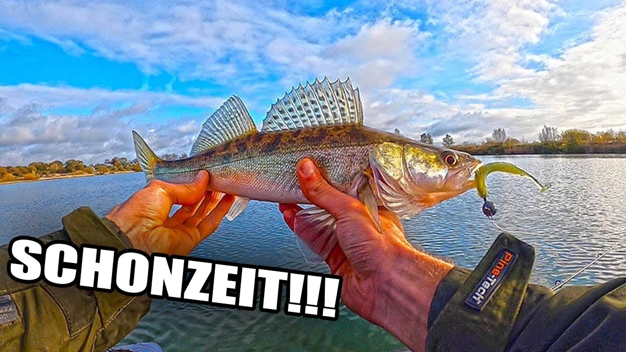 In der SCHONZEIT Angeln?! Klartext