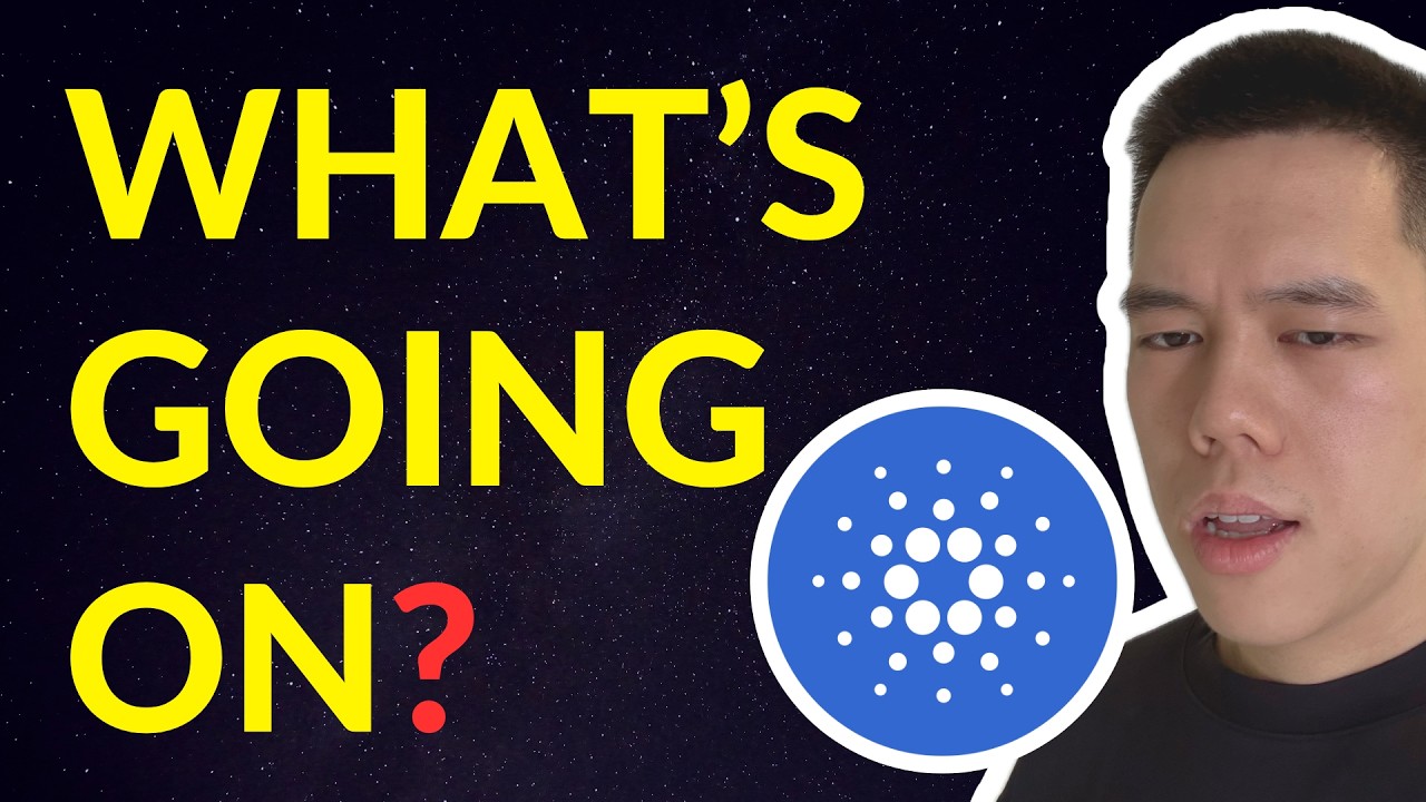 What Are They Up To? What I Noticed Lately.. Cardano ADA Update And Review