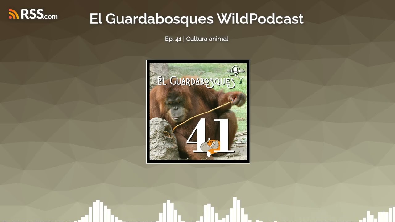 Ep. 41 | Cultura animal