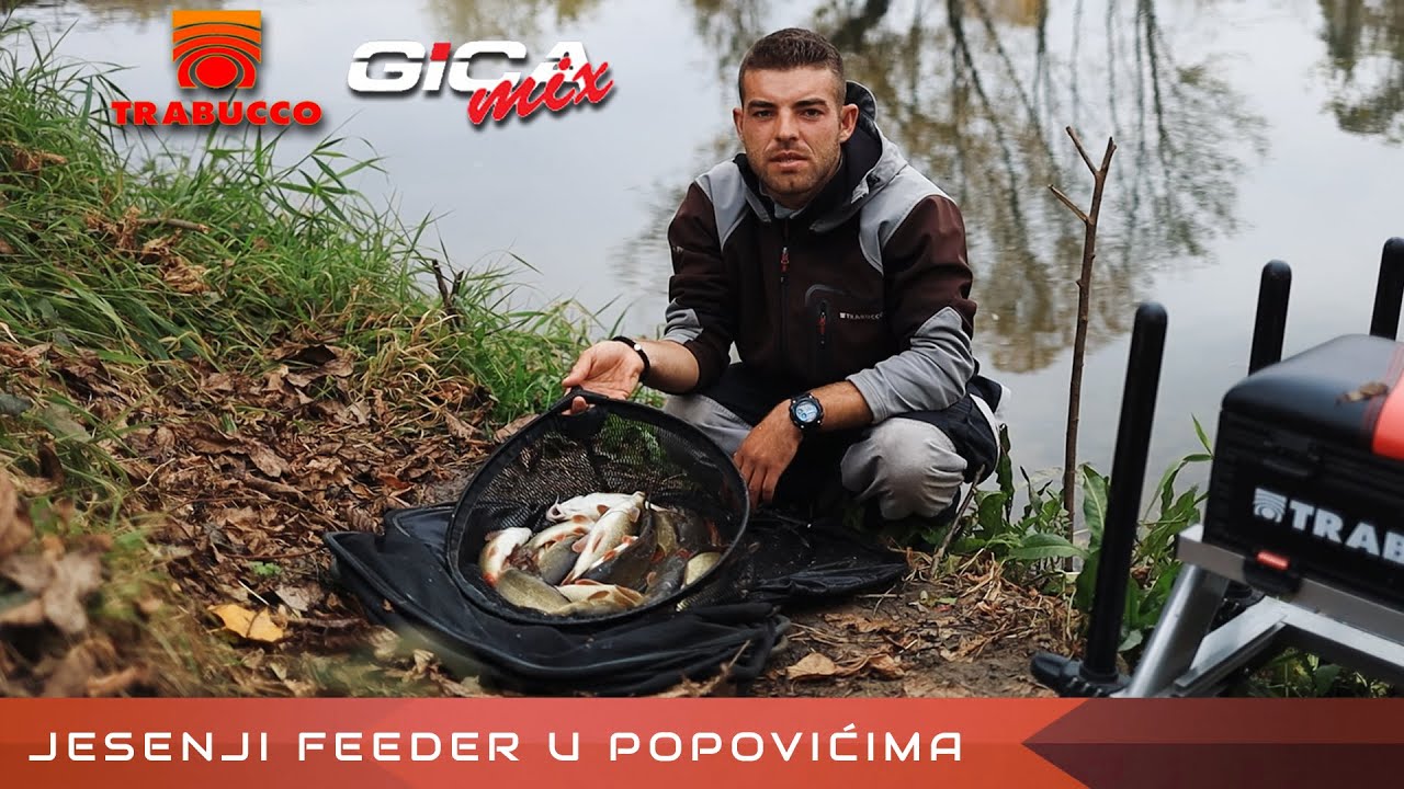 Jesenji feeder ribolov - Zapadna Morava - Kraljevo