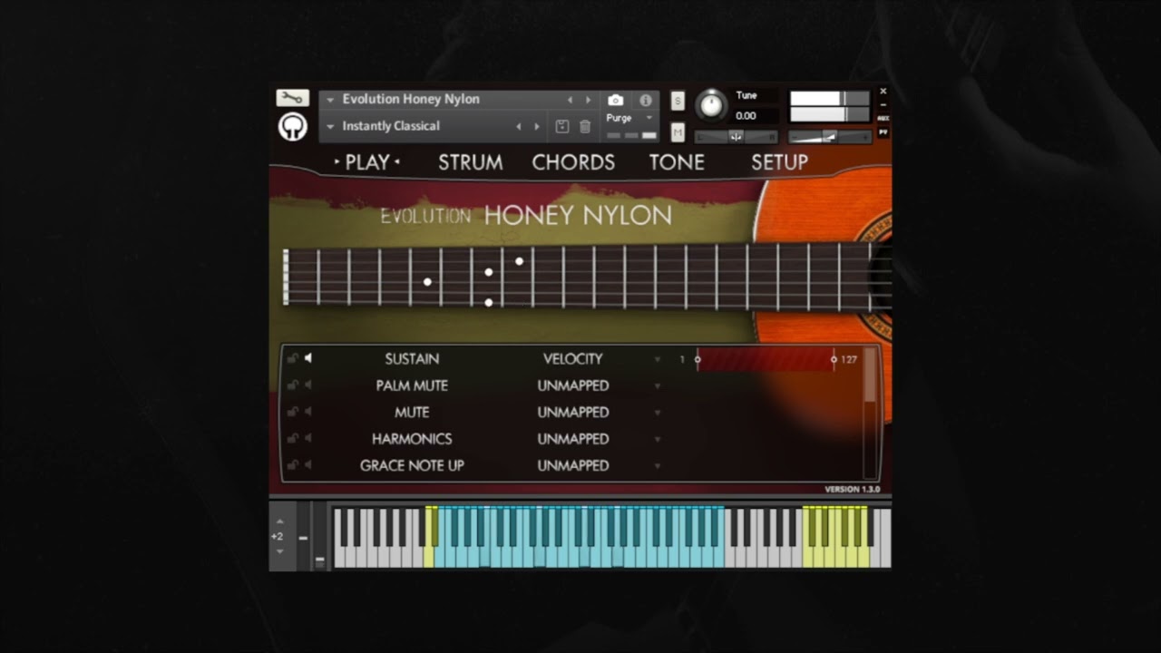 Evolution Honey Nylon - Overview & Preset Demo