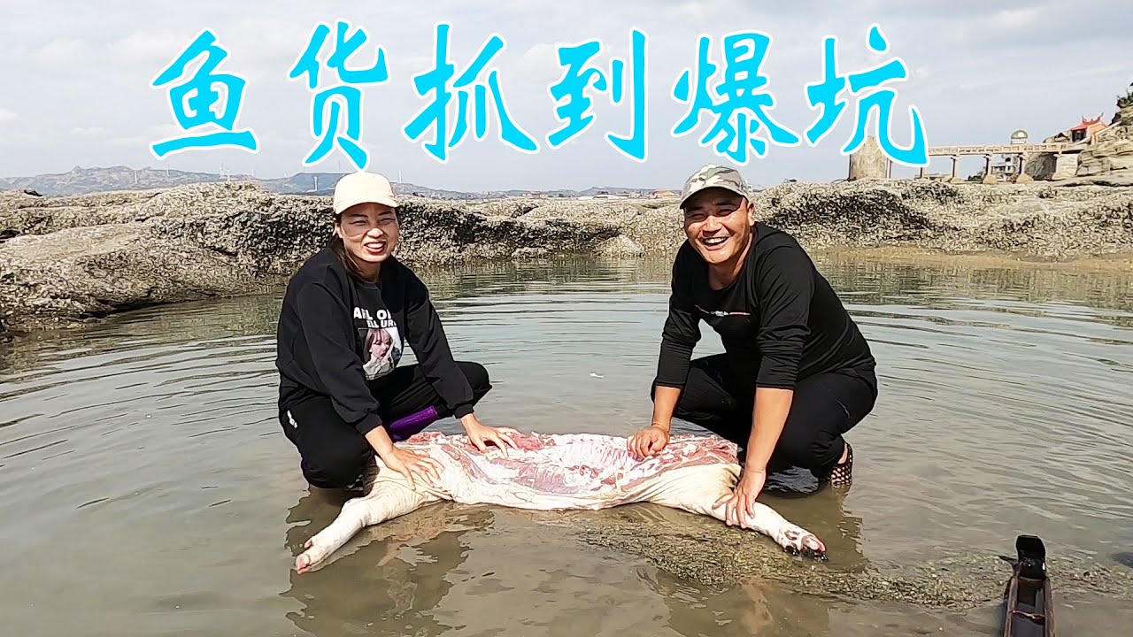 半头猪打窝700平的巨无霸坑，鱼货抓到爆坑，单单鲨鱼就能卖3000