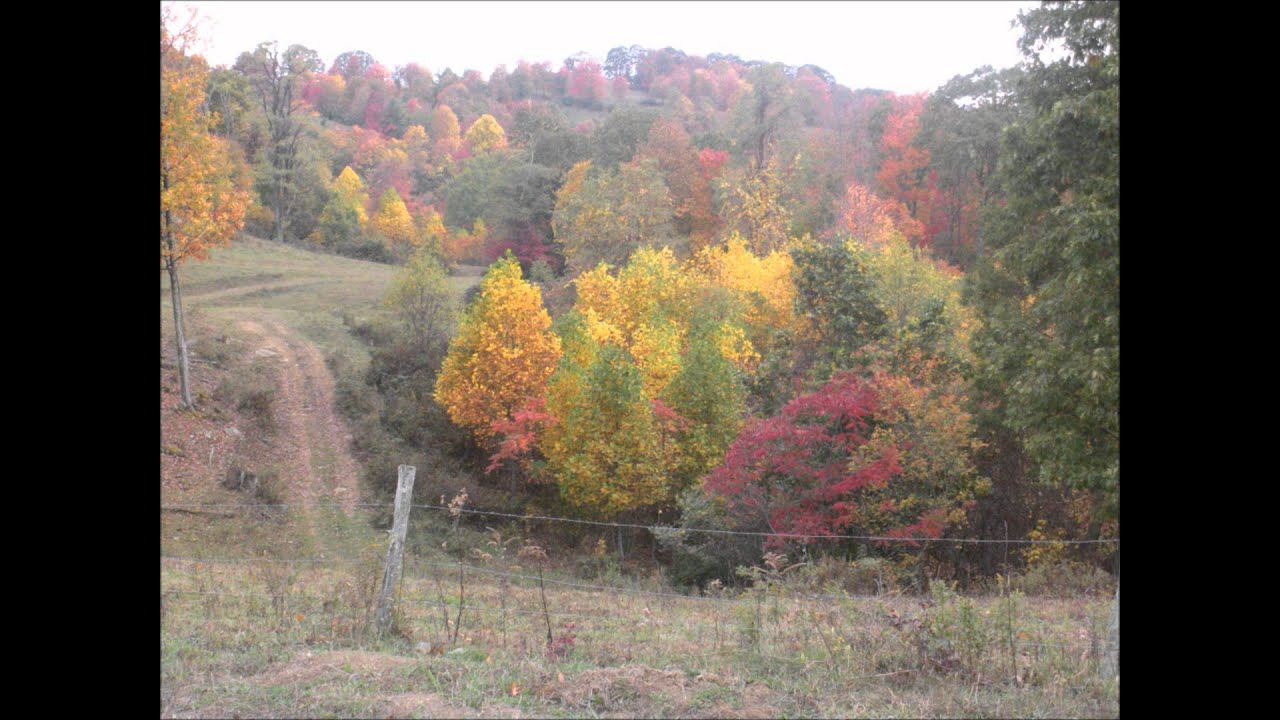 A Breath Of Mountain Air . (Come Home To West Virginia)