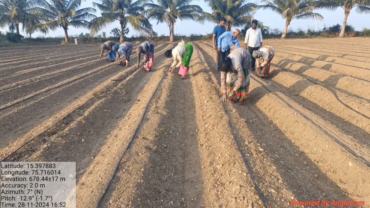 Advance irrigation technnolgy/ಹನಿ ನೀರಾವರಿ ಪದ್ದತಿಯ ಲಾಭಗಳು #kannada #agriculture #viral #youtuber 