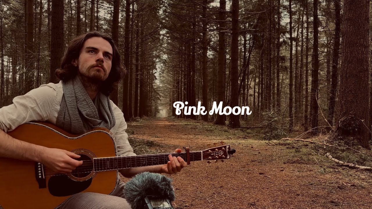 Pink Moon | Nick Drake Cover