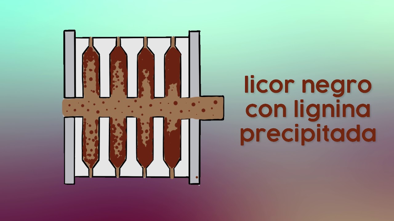 Valorización de la lignina de eucalipto para obtener fibras de carbono (EUCALIVA)
