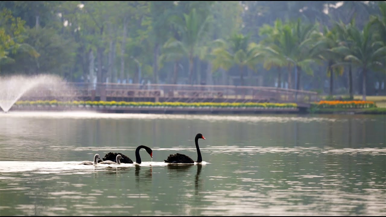 ECOPARK - VỀ NHÀ, VỀ GIỮA THIÊN NHIÊN