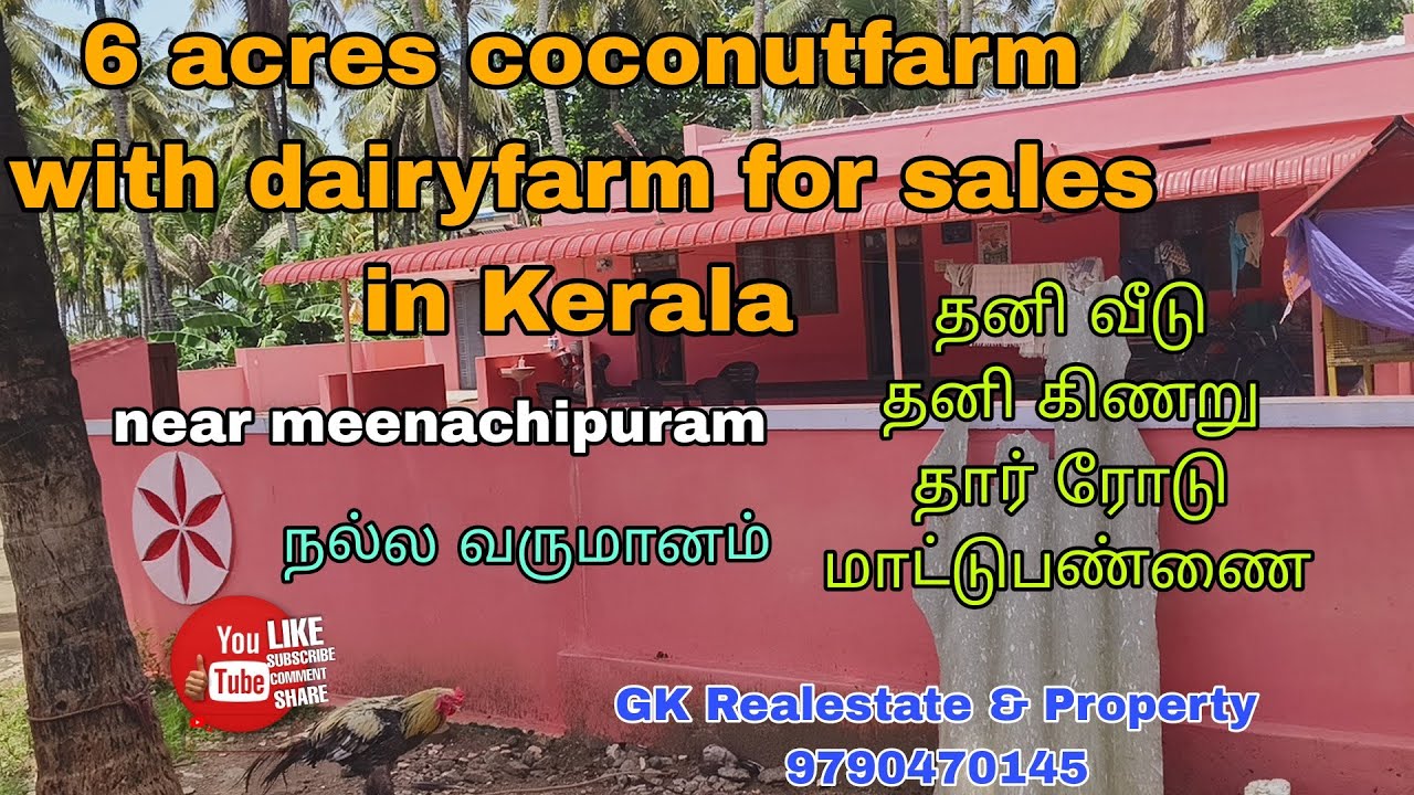 6 acres coconutfarm with dairyfarm for sales in Kerala near meenachipuram
