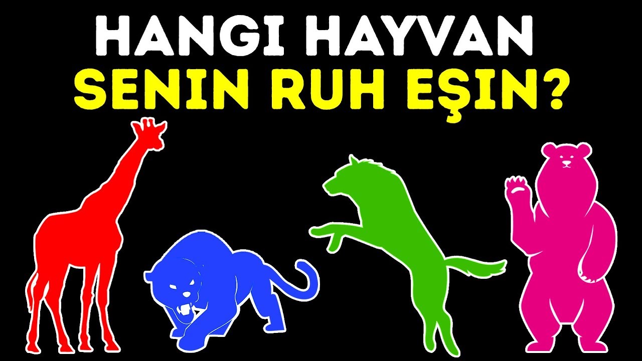 Hangi Hayvan Senin Ruh Eşin Kişilik Testi