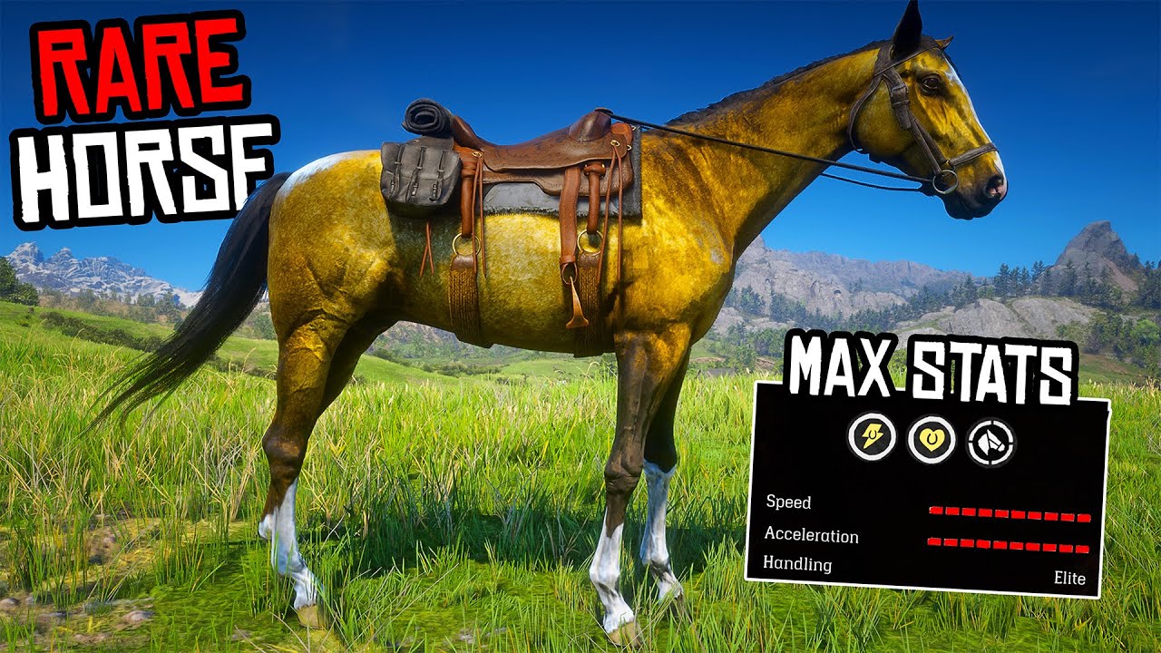 Proper Way To Get The Best & Fastest Gold Turkoman Horse - RDR 2
