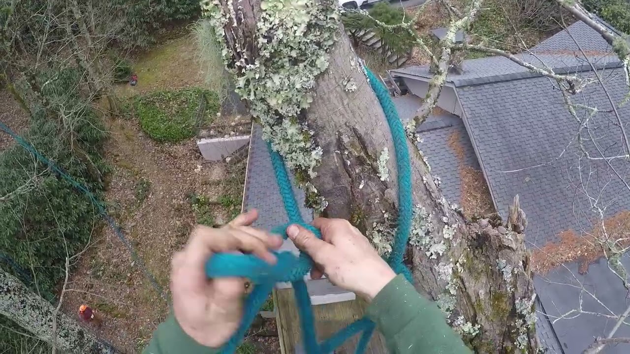 This Maple Didn't Want to Hinge