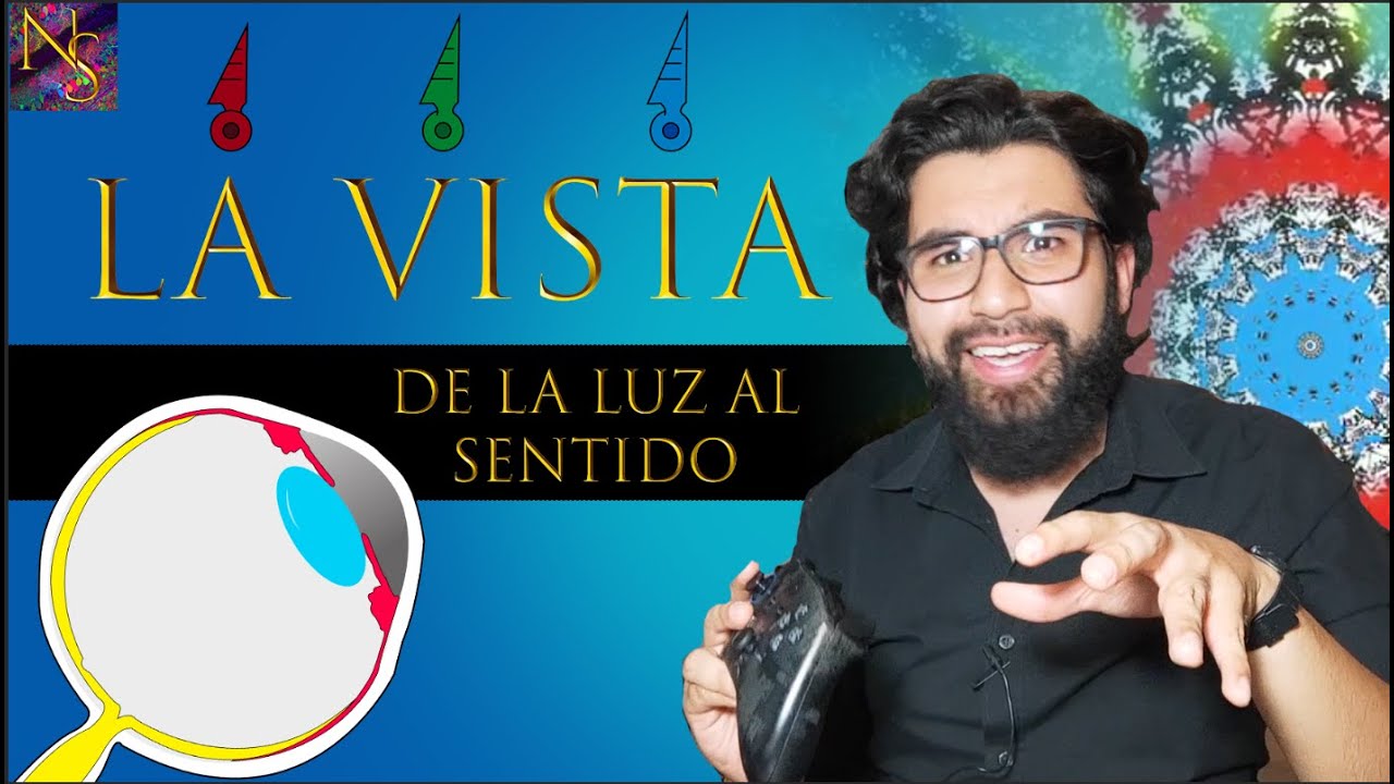 El Sistema Visual