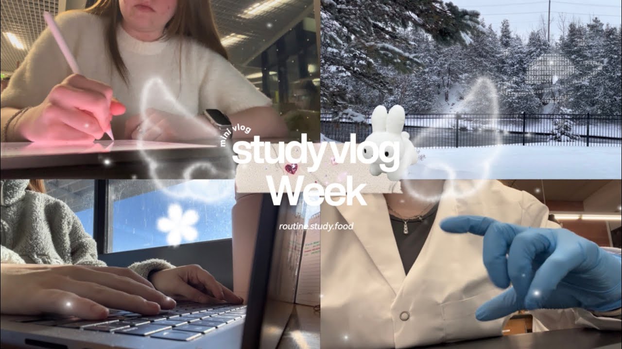 𓊆ྀི STUDY VLOG 𓊇ྀི   ;  midterms, university, studying 