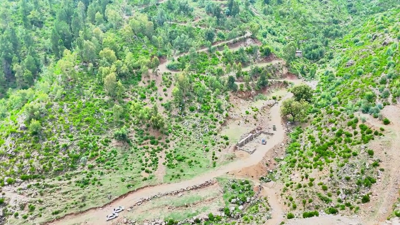Plantation in Dukat sirsinai swat#swatvalley #mountains #mountains #plantation #dronephotography