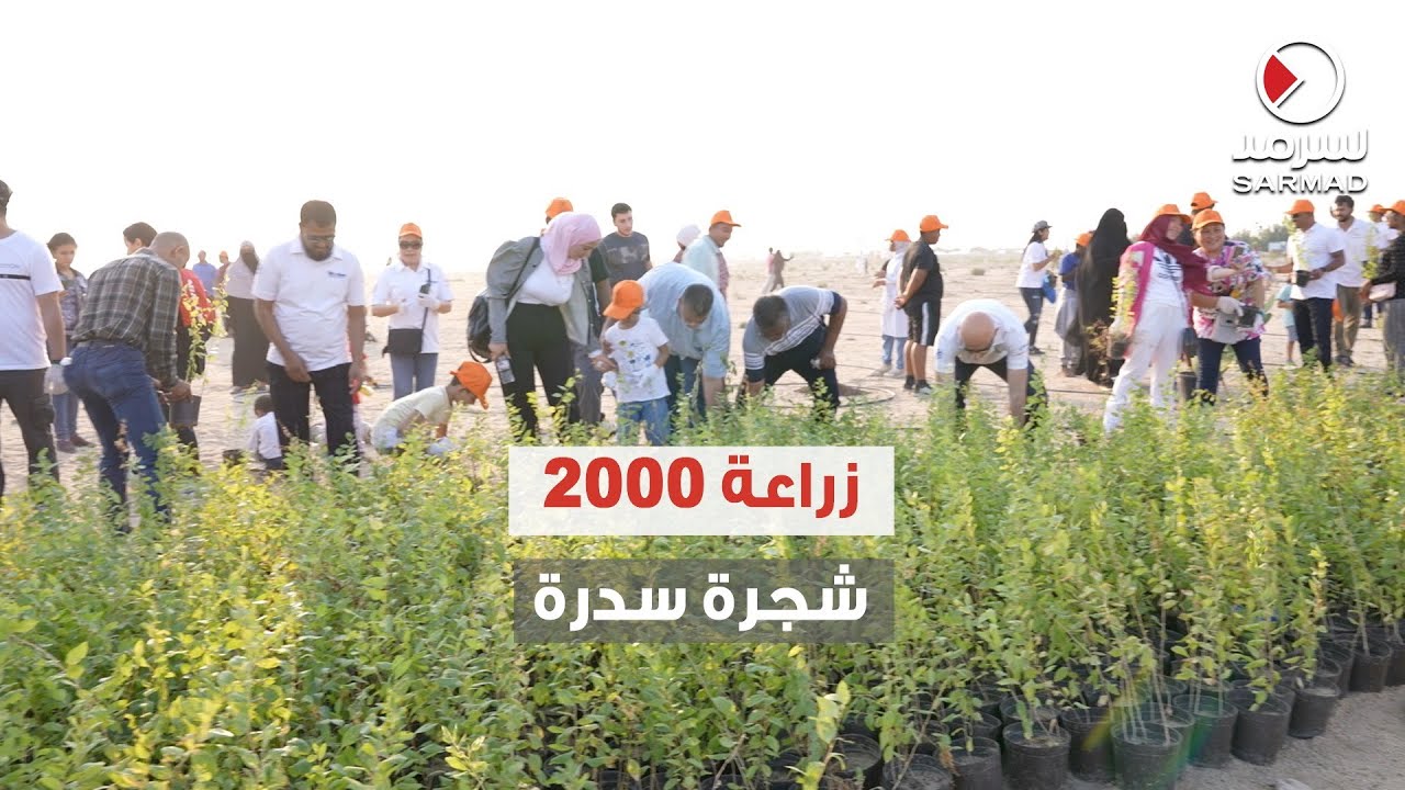 حملة لزراعة 2000 شجرة سدرة في محمية السدرة