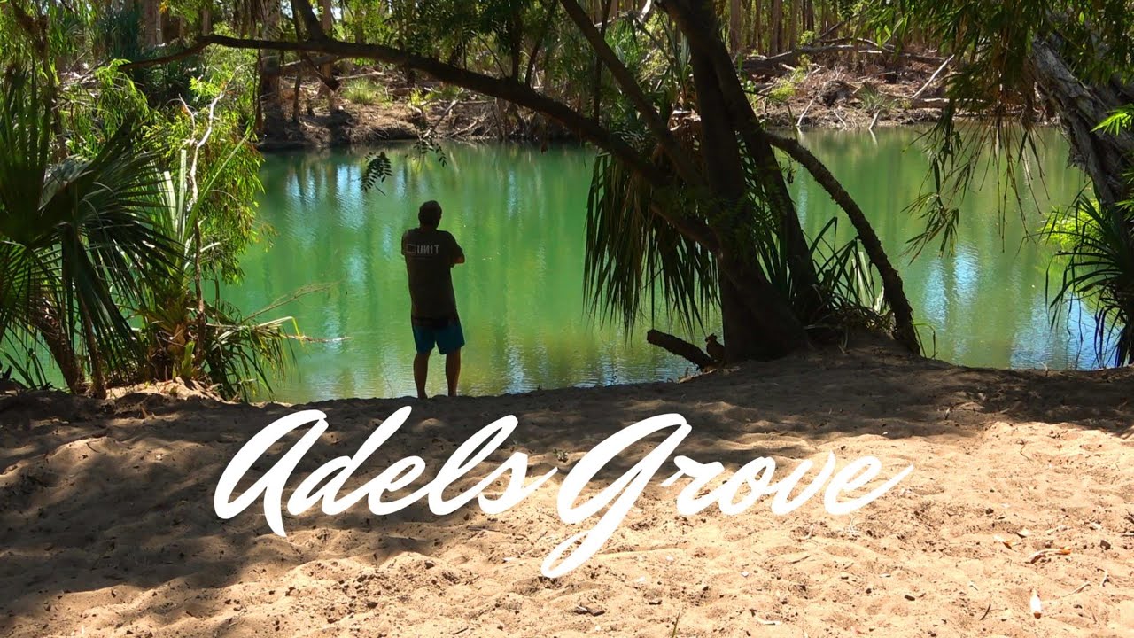 ADELS GROVE