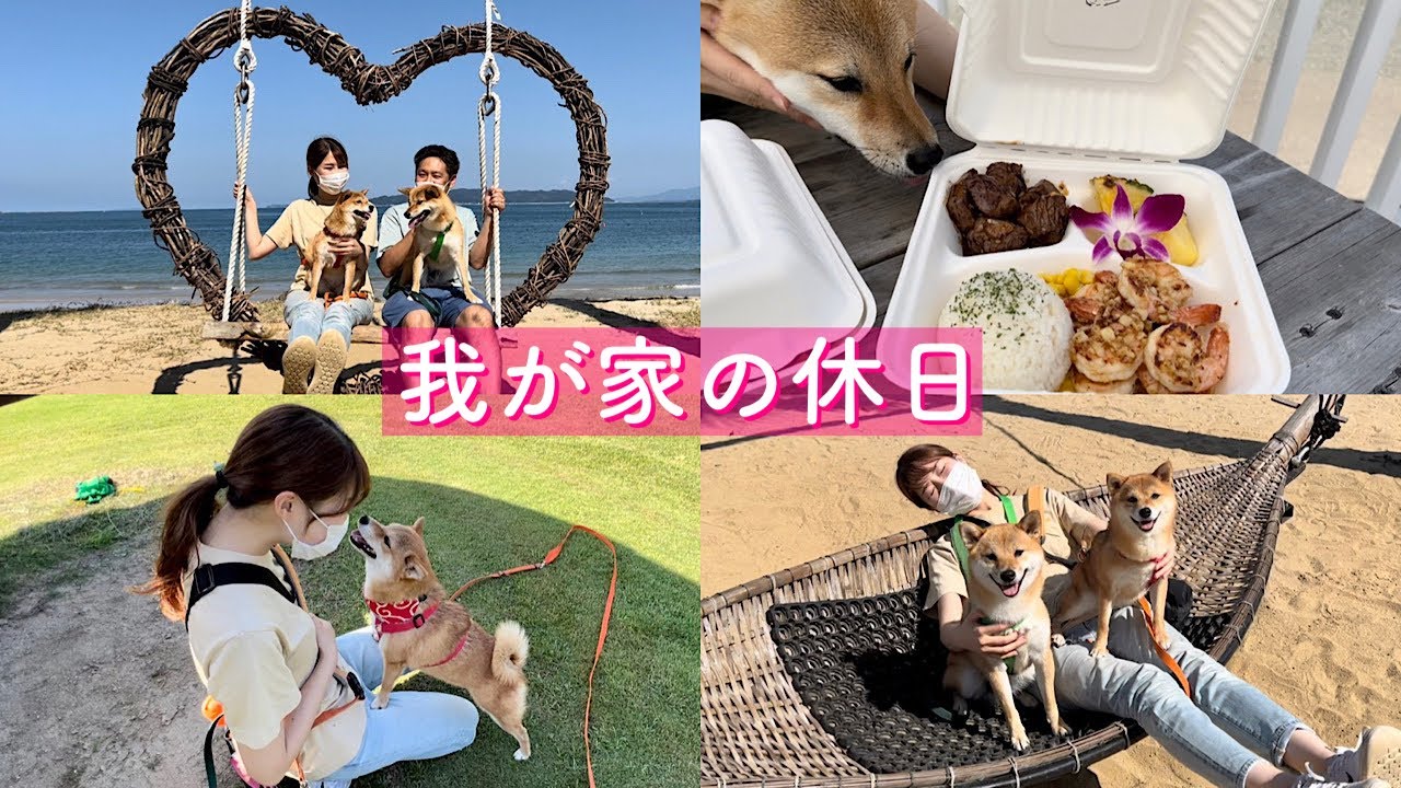 夫婦＋柴犬2頭、我が家の休日【お出かけ編】