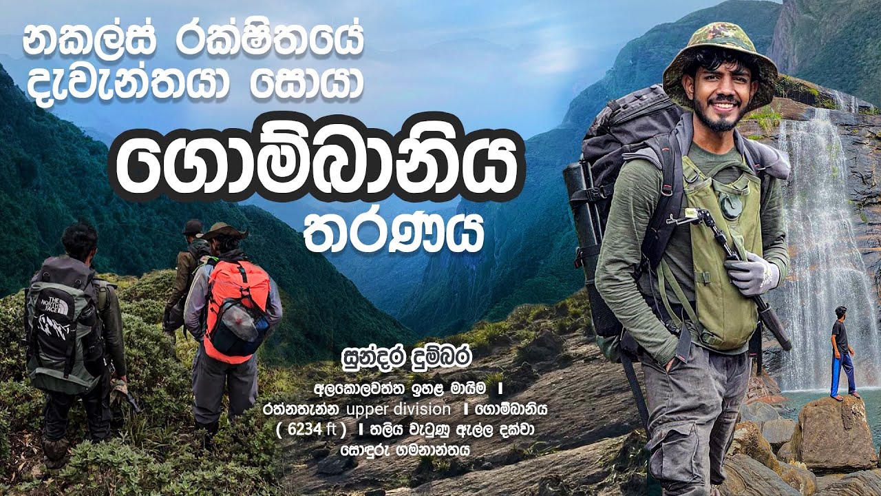 Gombaniya hike | තහනම් ඉසව්වෙ දැවැන්තයා සොයා | Highest peak of knuckles mountain range
