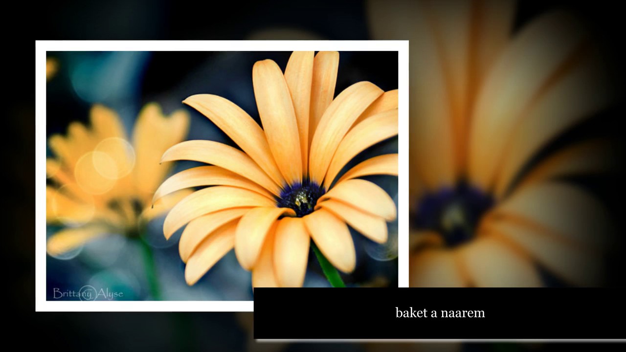 baket a naarem