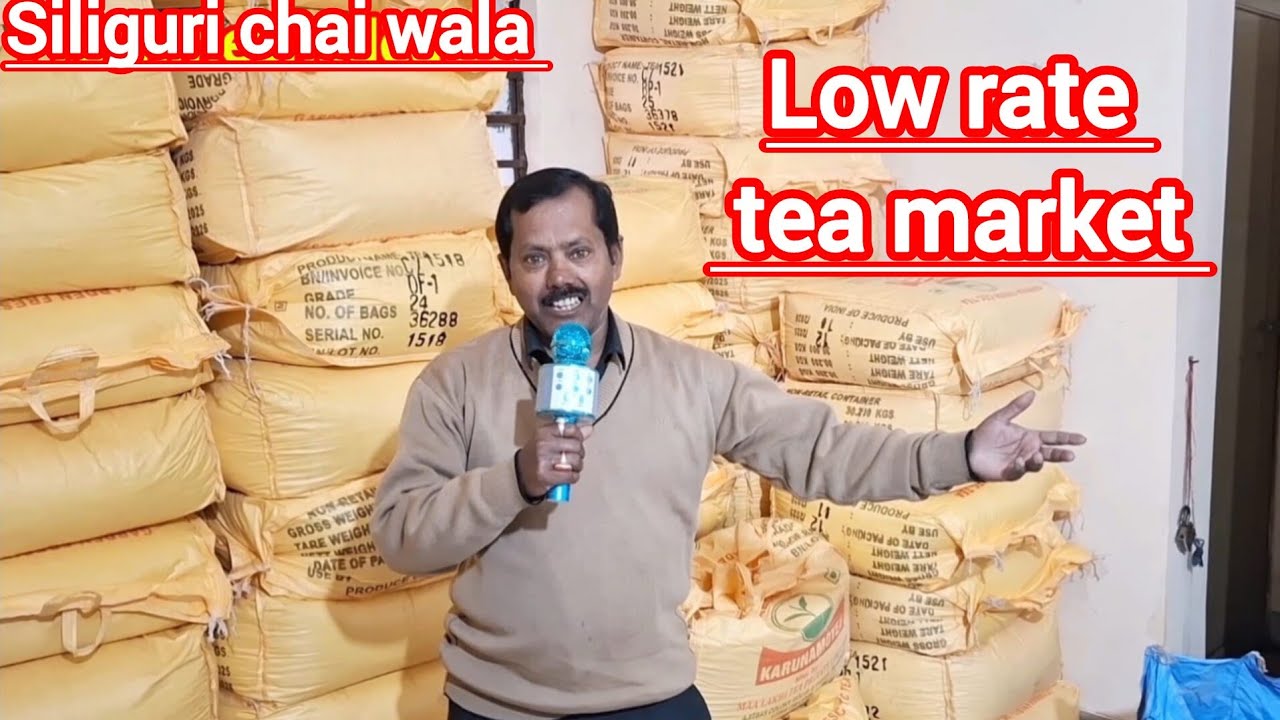 Low rate tea market , chai Patti ka business Siliguri chai factory #teapowder @FRESHTEA-y7y 