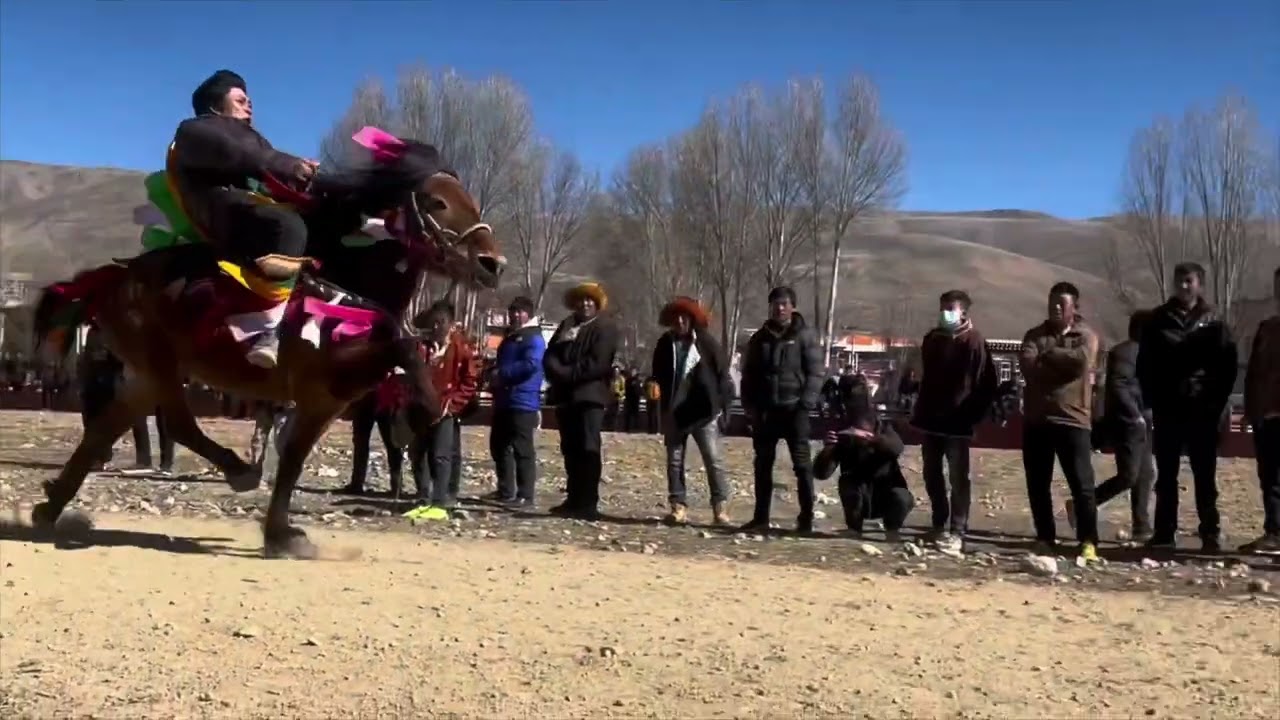 Tibetan kham Karze horse.