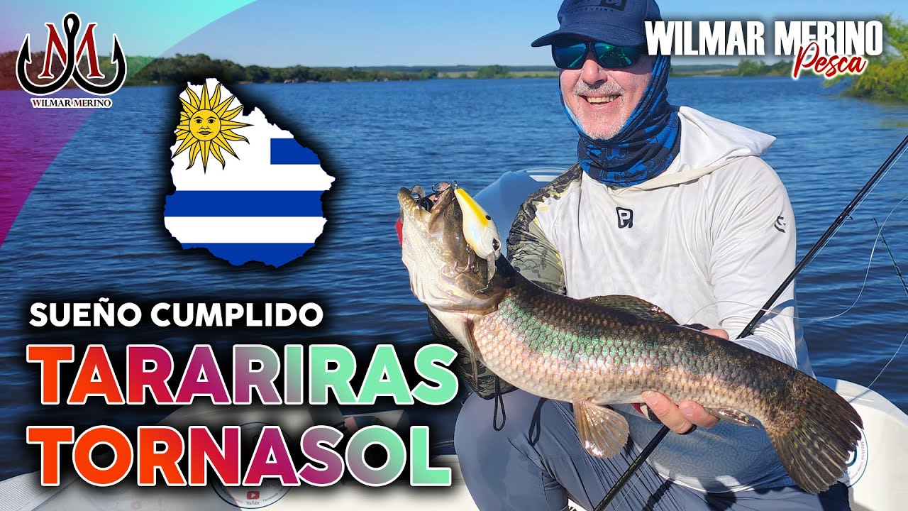 TARARIRAS TORNASOLen Uruguay 🎣 Pesca Deportiva en los r&iacute;os Negro y Yi | Wilmar Merino