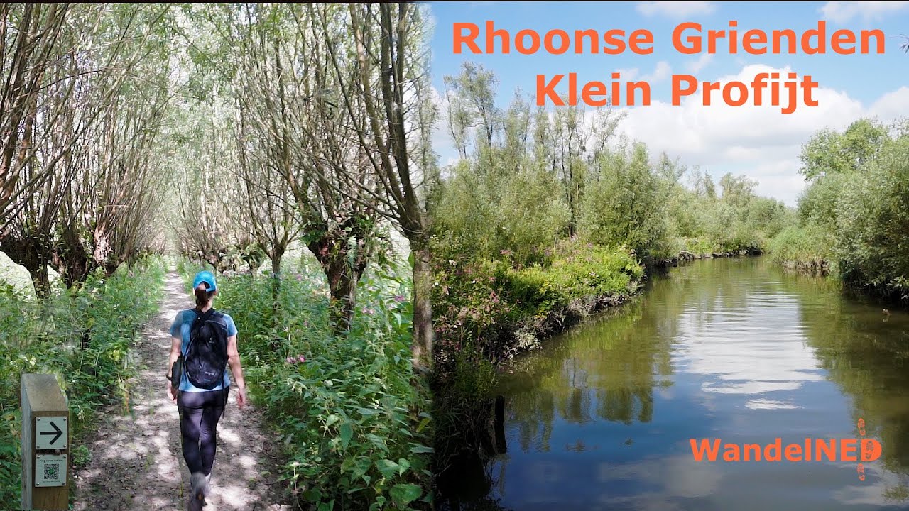 Rhoonse Grienden - Klein Profijt | 8,4km | Zoeken naar de bever tijdens een prachtige wandeling | #9
