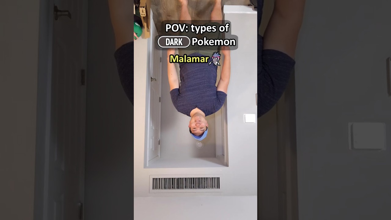 POV: Types of Dark Pokemon