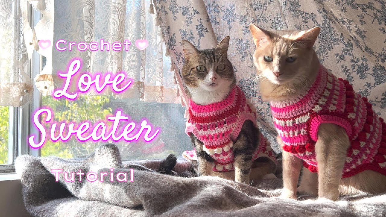 Tutorial - Crochet Love Sweater for Cats - super cute - cat sweater