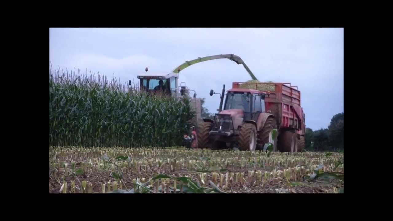 ensilage 2013 - CLAAS jaguar 860