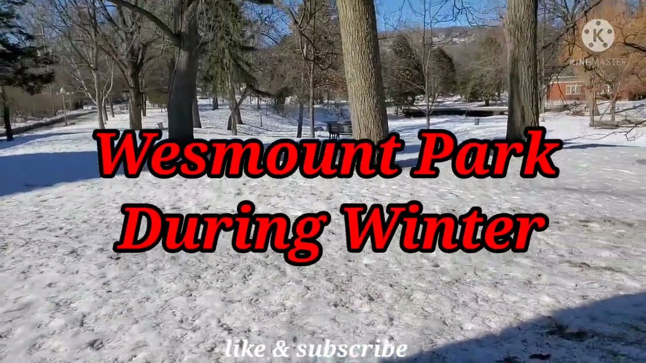 Westmount Park During Winter