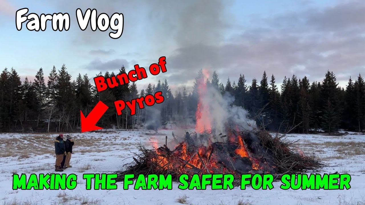 Let's Start Some Fires