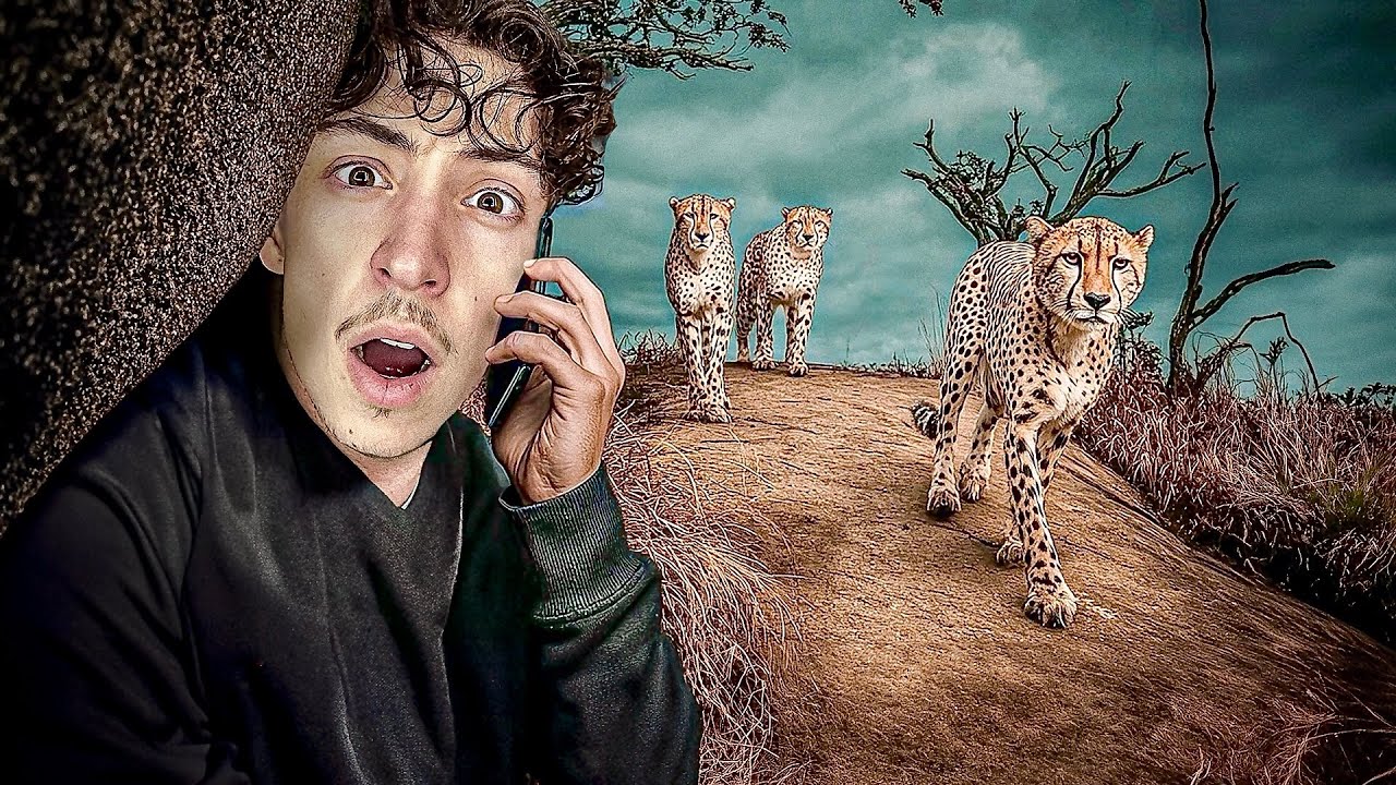Le gang de guépard qui a terrorisé l’Afrique du Sud ! 