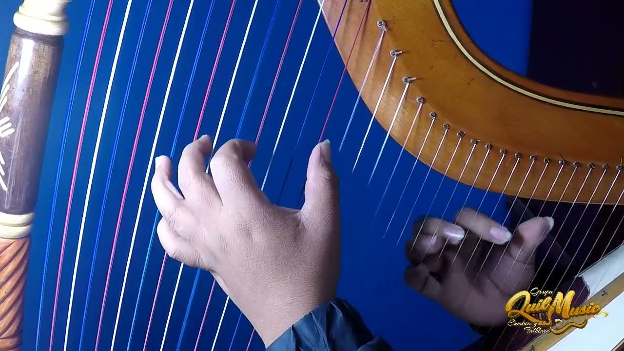 JANETH SALINAS - Quién tiene el vaso - Tutorial Arpa - Quilder Rodriguez