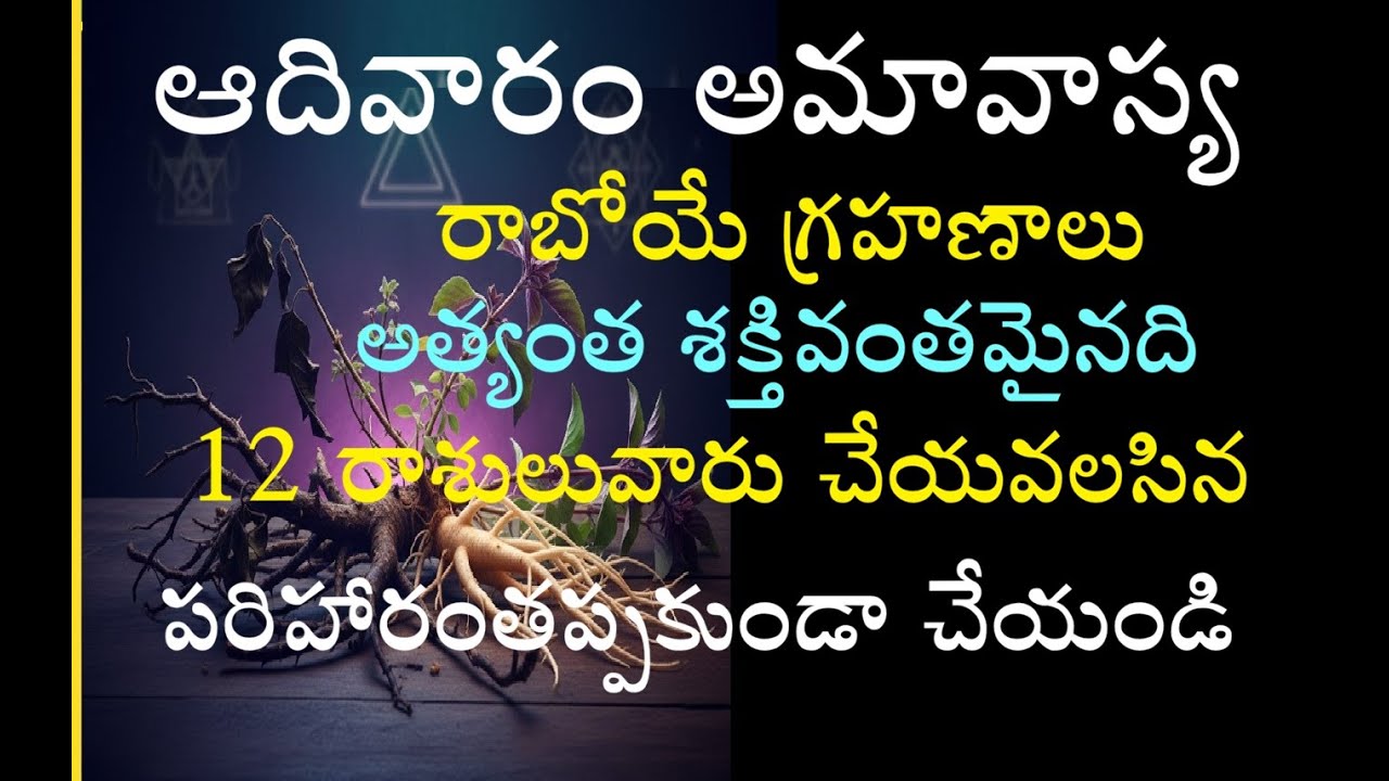 ఆదివారం అమావాస్య,రాబోయే గ్రహణాలు,అత్యంత శక్తివంతమైనది.12 రాశులువారు చేయవలసిన పరిహారంతప్పకుండా చేయండి