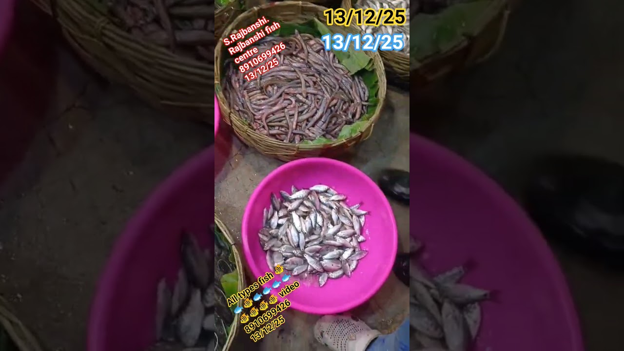 This video produced by S.Rajbanshi.all types fish available 
